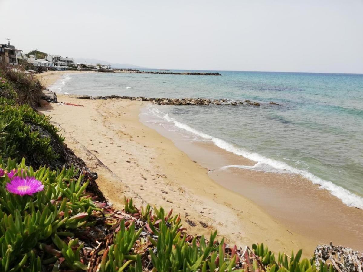 Panasia Seaview Apartments Kokkini Hani Экстерьер фото
